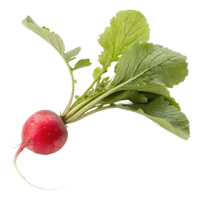 Imagen PNG para descargar